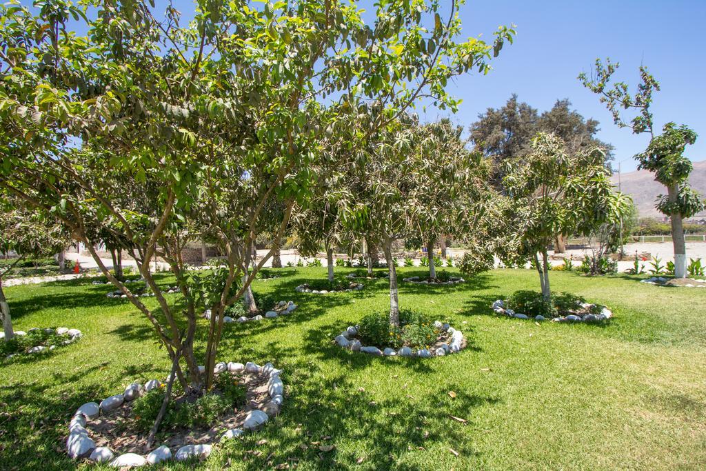 Hotel Fundo San Rafael Наска Екстер'єр фото